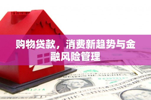 伊吾购物贷款，消费新趋势与金融风险管理