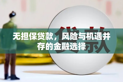 伊吾无担保贷款，风险与机遇并存的金融选择