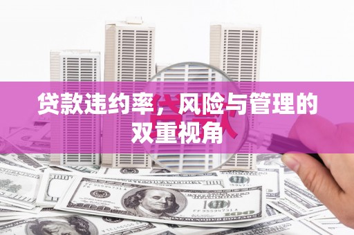 伊吾贷款违约率，风险与管理的双重视角