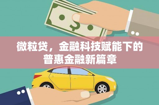 伊吾微粒贷，金融科技赋能下的普惠金融新篇章