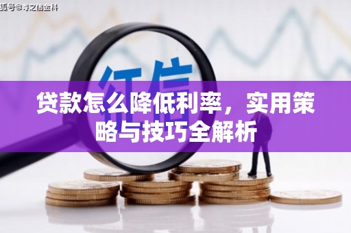 伊吾贷款怎么降低利率，实用策略与技巧全解析