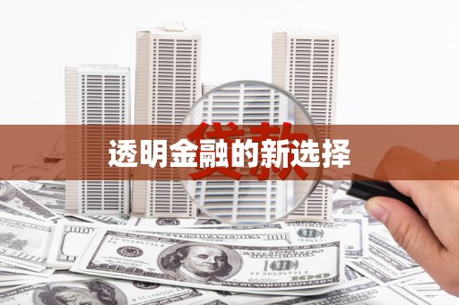 伊吾透明金融的新选择