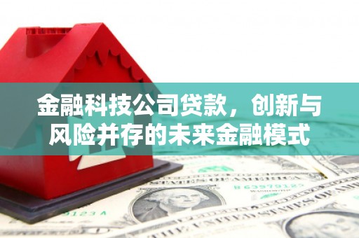 伊吾金融科技公司贷款，创新与风险并存的未来金融模式