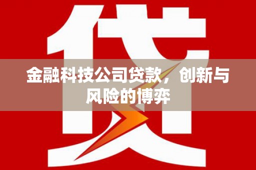 伊吾金融科技公司贷款，创新与风险的博弈