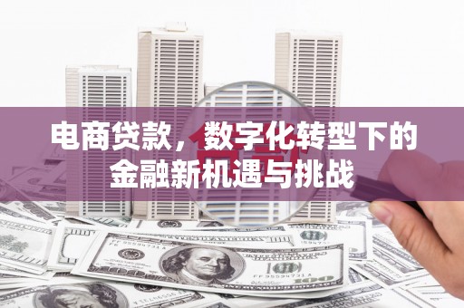 伊吾电商贷款，数字化转型下的金融新机遇与挑战
