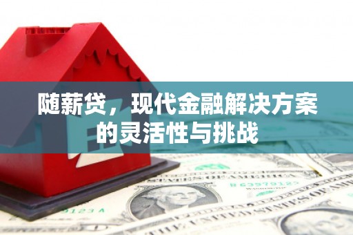 伊吾随薪贷，现代金融解决方案的灵活性与挑战