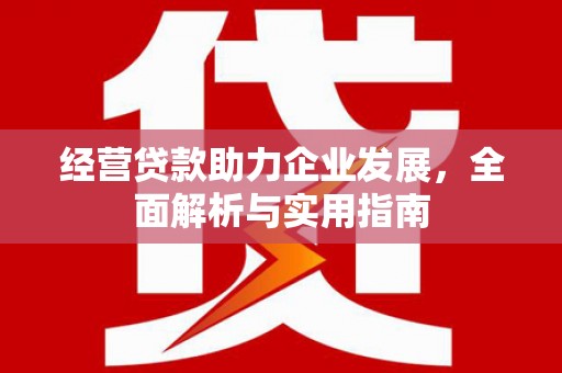 伊吾经营贷款助力企业发展，全面解析与实用指南