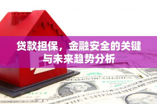 伊吾贷款担保，金融安全的关键与未来趋势分析