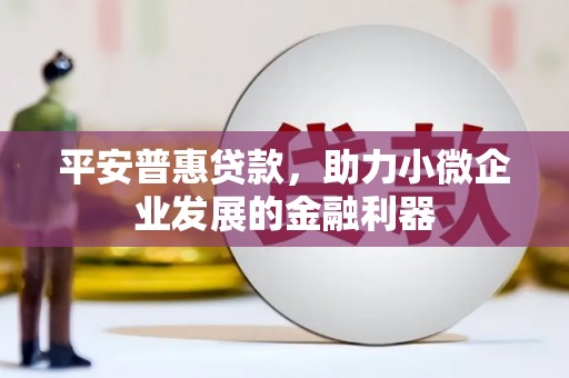 伊吾平安普惠贷款，助力小微企业发展的金融利器