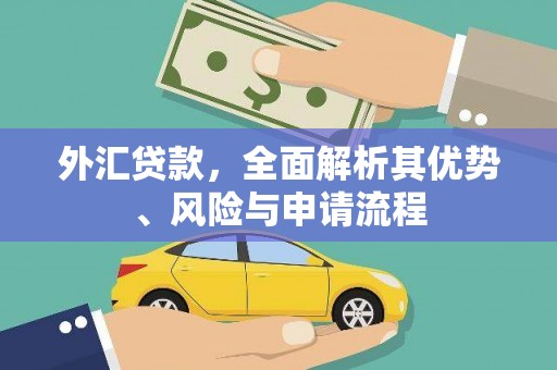 伊吾外汇贷款，全面解析其优势、风险与申请流程