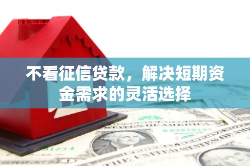 伊吾不看征信贷款，解决短期资金需求的灵活选择