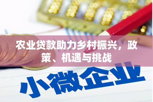 伊吾农业贷款助力乡村振兴，政策、机遇与挑战