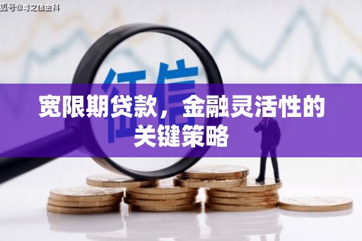 伊吾宽限期贷款，金融灵活性的关键策略