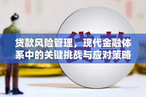 伊吾贷款风险管理，现代金融体系中的关键挑战与应对策略