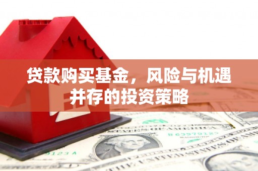伊吾贷款购买基金，风险与机遇并存的投资策略