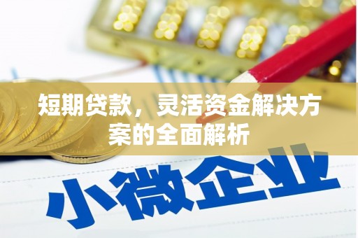伊吾短期贷款，灵活资金解决方案的全面解析