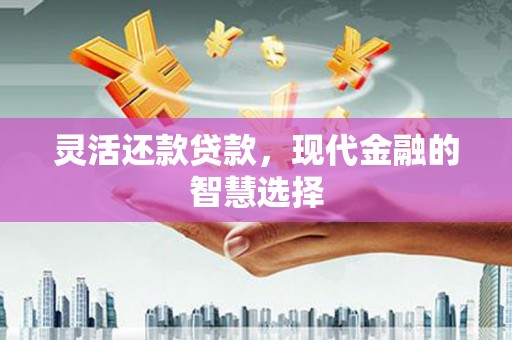 伊吾灵活还款贷款，现代金融的智慧选择