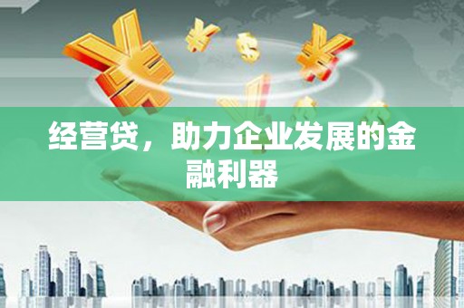 伊吾经营贷，助力企业发展的金融利器