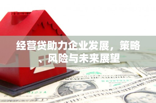 伊吾经营贷助力企业发展，策略、风险与未来展望