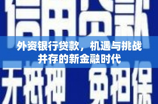 伊吾外资银行贷款，机遇与挑战并存的新金融时代