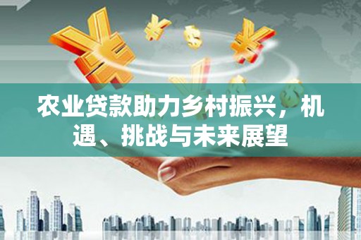 伊吾农业贷款助力乡村振兴，机遇、挑战与未来展望