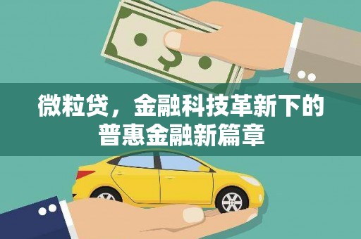 伊吾微粒贷，金融科技革新下的普惠金融新篇章
