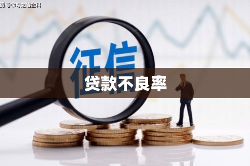 伊吾贷款不良率