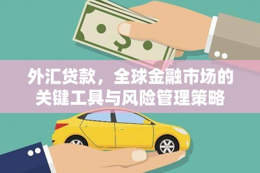 伊吾外汇贷款，全球金融市场的关键工具与风险管理策略