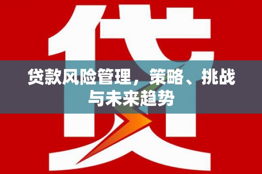 伊吾贷款风险管理，策略、挑战与未来趋势