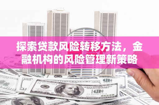 伊吾探索贷款风险转移方法，金融机构的风险管理新策略
