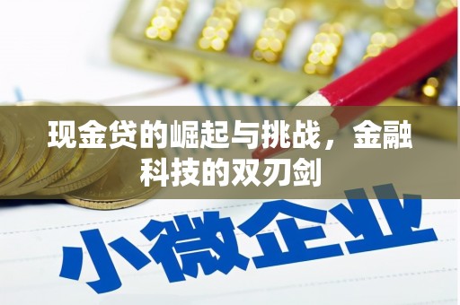伊吾现金贷的崛起与挑战，金融科技的双刃剑