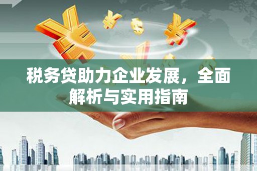 伊吾税务贷助力企业发展，全面解析与实用指南