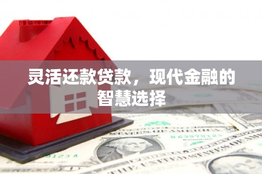 伊吾灵活还款贷款，现代金融的智慧选择