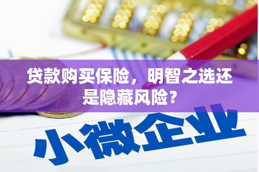 伊吾贷款购买保险，明智之选还是隐藏风险？