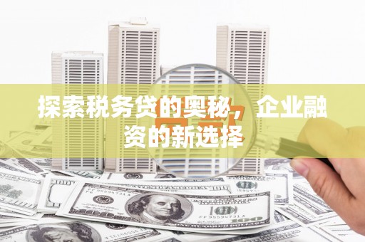 伊吾探索税务贷的奥秘，企业融资的新选择