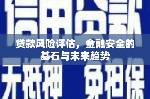 伊吾贷款风险评估，金融安全的基石与未来趋势