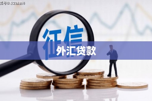 伊吾外汇贷款