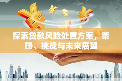 伊吾探索贷款风险处置方案，策略、挑战与未来展望