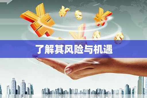伊吾了解其风险与机遇