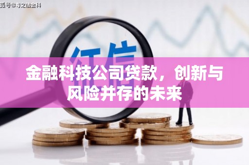 伊吾金融科技公司贷款，创新与风险并存的未来
