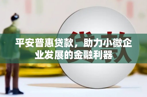 伊吾平安普惠贷款，助力小微企业发展的金融利器