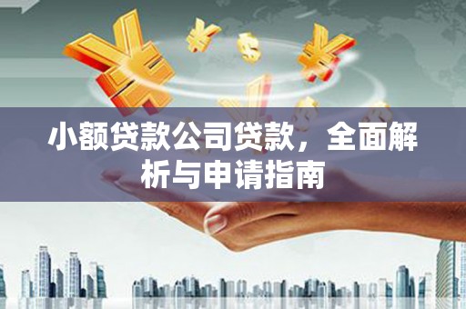 伊吾小额贷款公司贷款，全面解析与申请指南