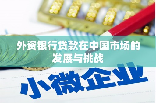 伊吾外资银行贷款在中国市场的发展与挑战