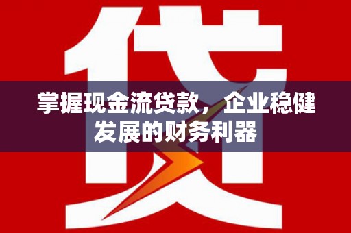 伊吾掌握现金流贷款，企业稳健发展的财务利器