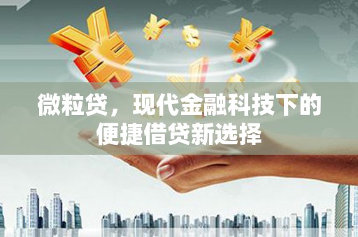 伊吾微粒贷，现代金融科技下的便捷借贷新选择