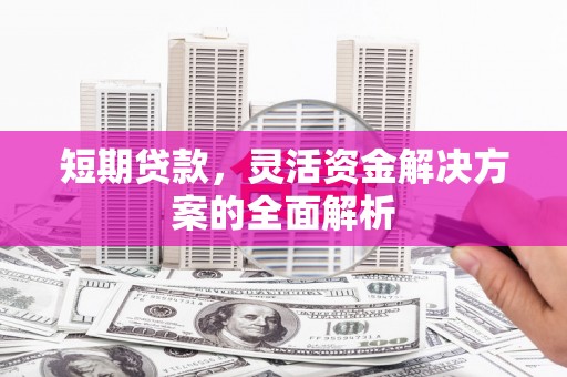 伊吾短期贷款，灵活资金解决方案的全面解析
