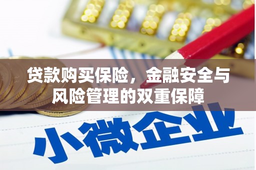 伊吾贷款购买保险，金融安全与风险管理的双重保障