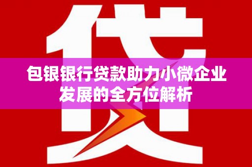 伊吾包银银行贷款助力小微企业发展的全方位解析