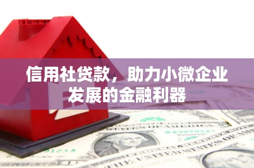 伊吾信用社贷款，助力小微企业发展的金融利器