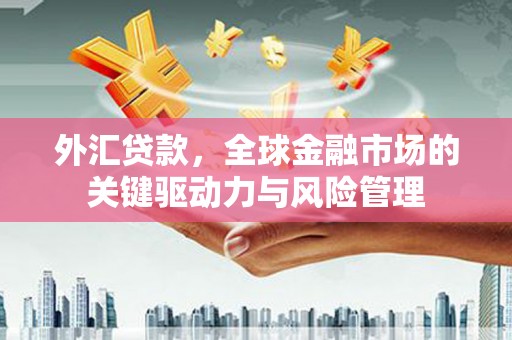 伊吾外汇贷款，全球金融市场的关键驱动力与风险管理